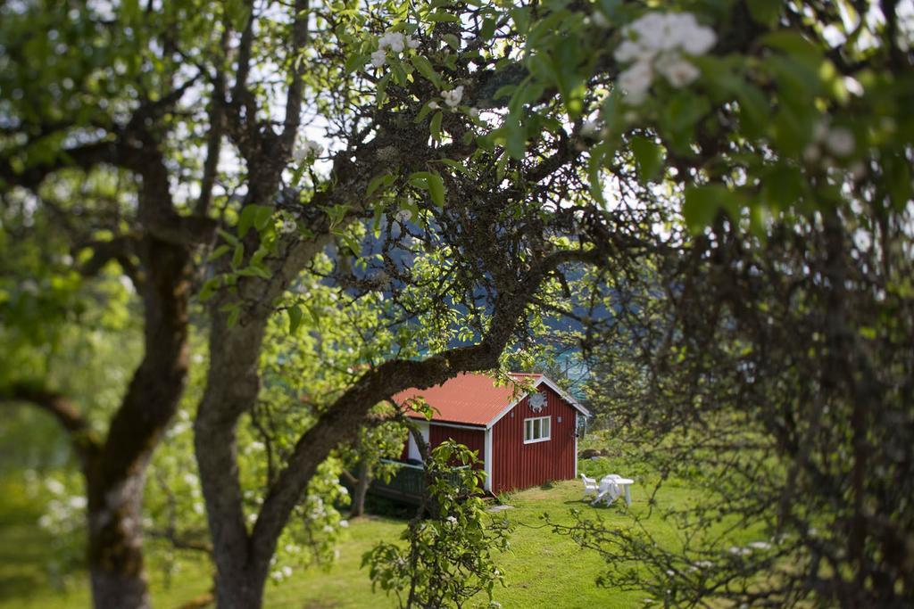 Dragsvik Fjordhotel (Adults Only) Balestrand Exteriér fotografie