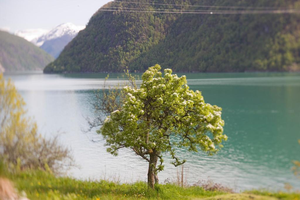 Dragsvik Fjordhotel (Adults Only) Balestrand Exteriér fotografie